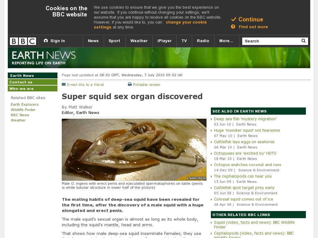 Random link to http://news.bbc.co.uk/earth/hi/earth_news/newsid_8792000/8792008.stm
