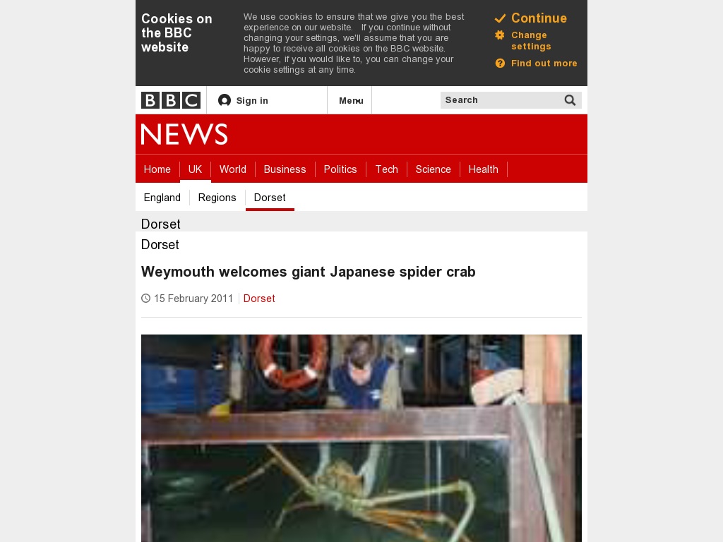 Random link to http://www.bbc.co.uk/news/uk-england-dorset-12462694