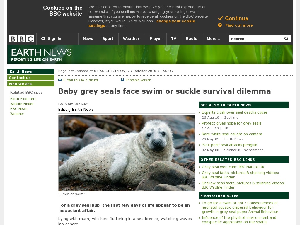 Random link to http://news.bbc.co.uk/earth/hi/earth_news/newsid_9134000/9134947.stm