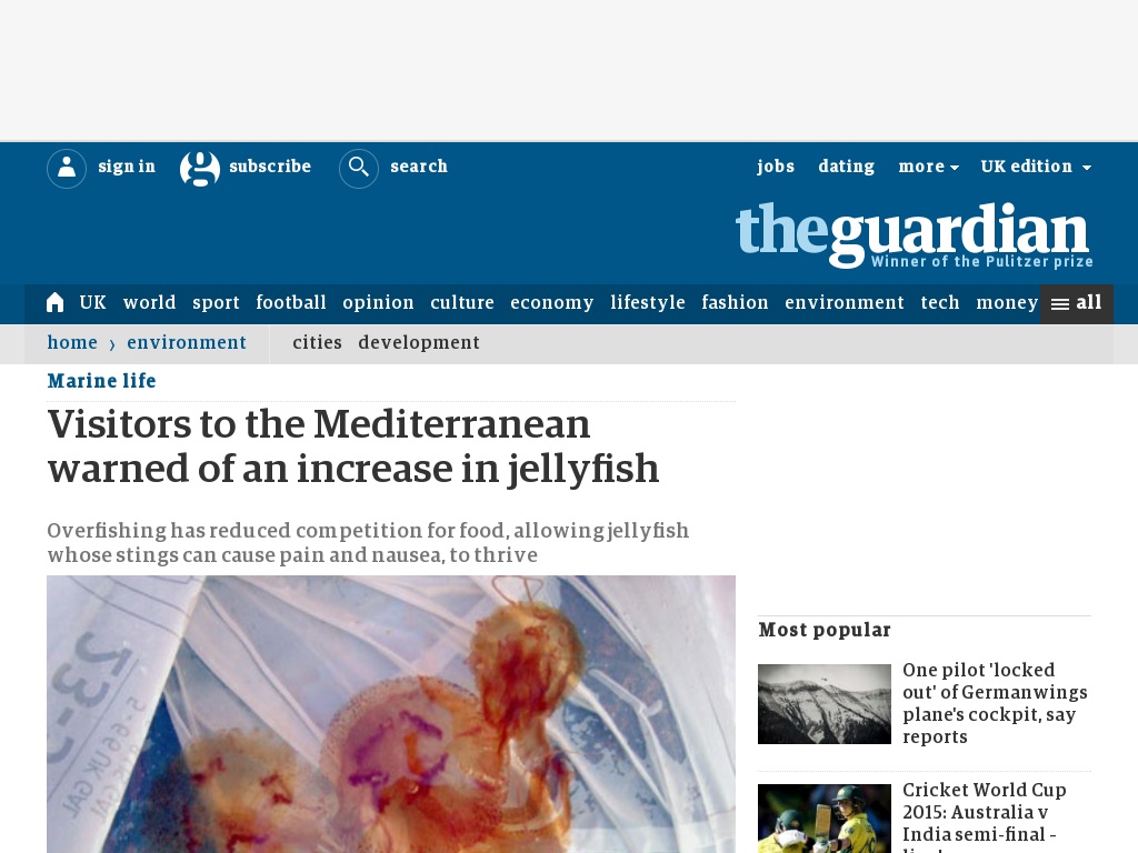 Random link to http://www.guardian.co.uk/environment/2013/jul/12/mediterranean-visitors-warned-jellyfish-numbers-rising