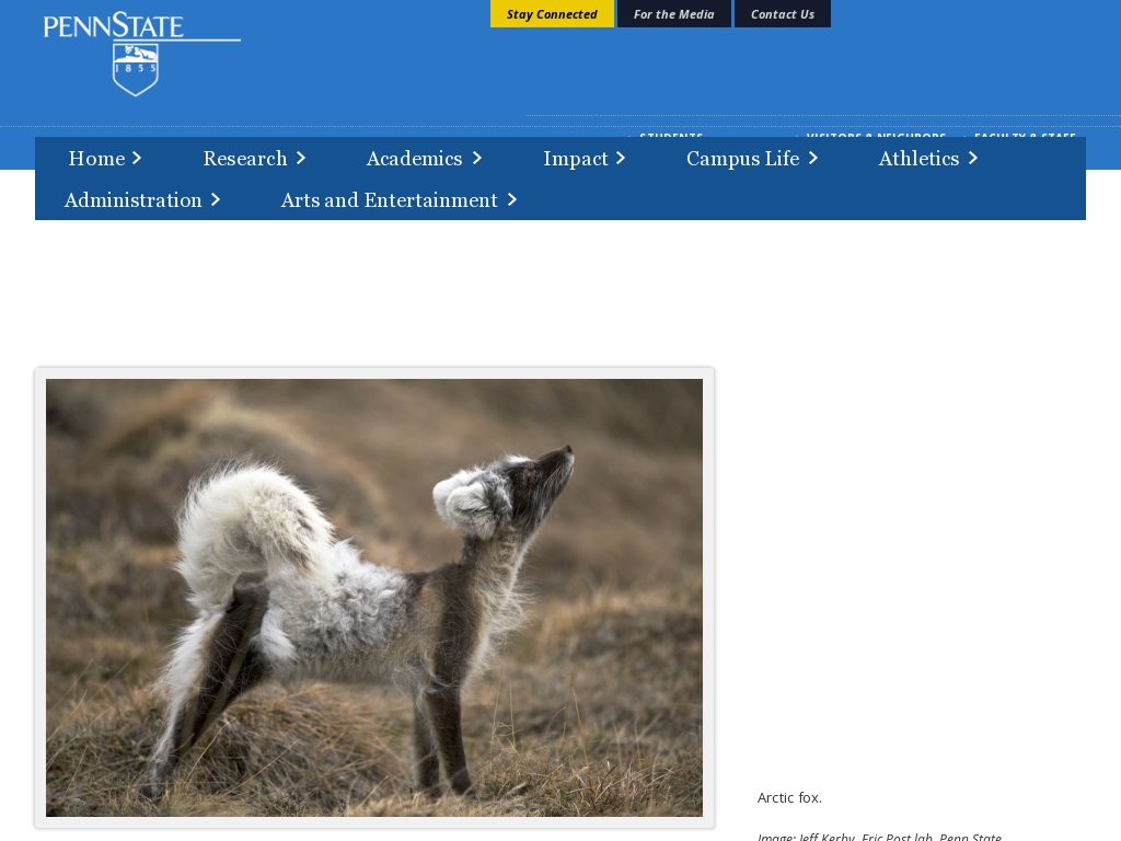 Random link to http://news.psu.edu/story/283267/2013/08/01/research/arctic-sea-ice-loss-has-widespread-effects-wildlife