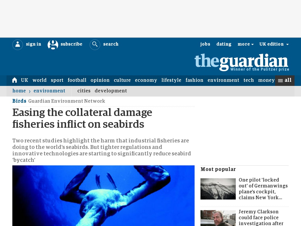 Random link to http://www.guardian.co.uk/environment/2012/aug/10/birds-marine-life