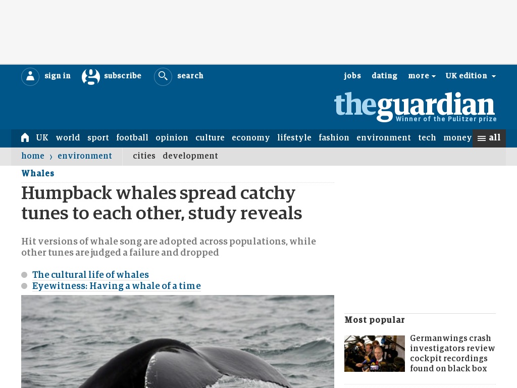 Random link to http://www.guardian.co.uk/environment/2011/apr/15/humpback-whales-catchy-tunes