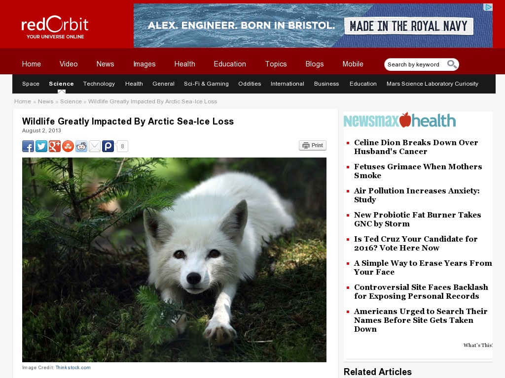 Random link to http://www.redorbit.com/news/science/1112914199/arctic-sea-ice-loss-impacts-wildlife-080213/