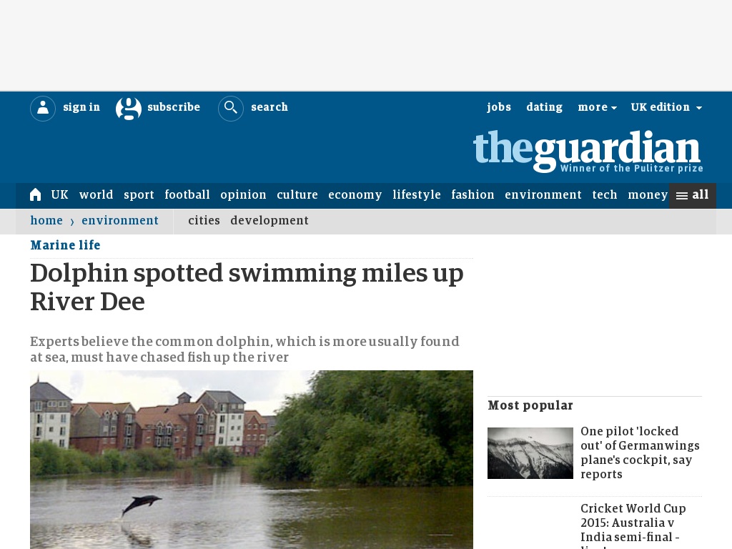 Random link to http://www.theguardian.com/environment/2013/aug/21/dolphin-spotted-swimming-river-dee
