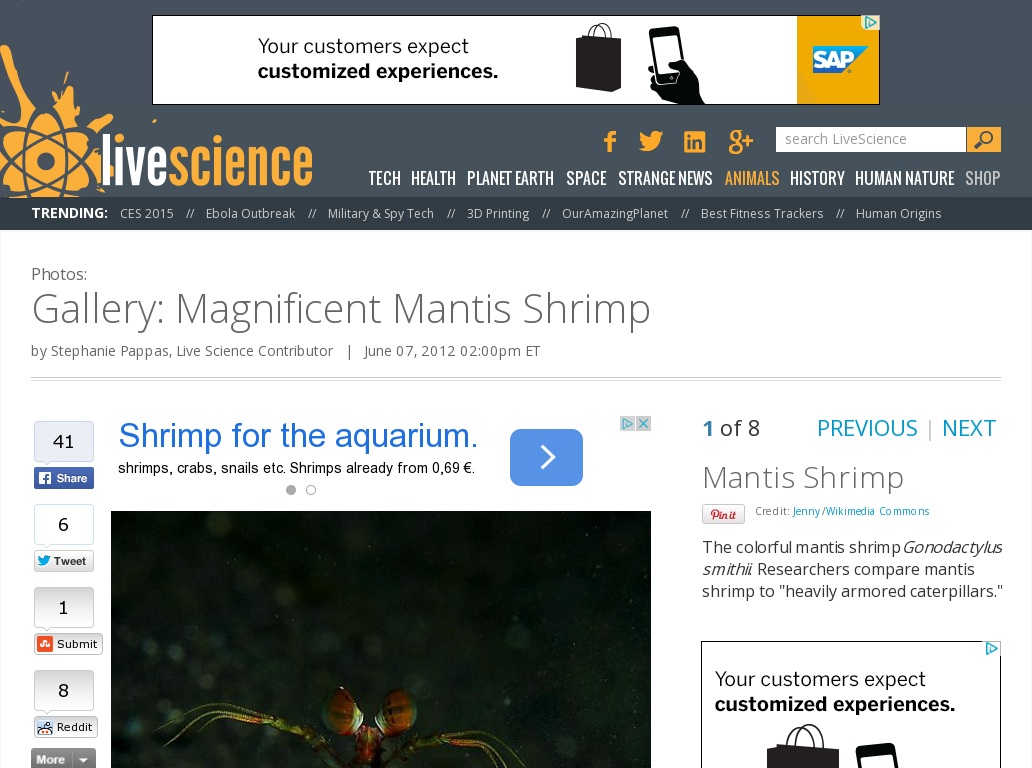Random link to http://www.livescience.com/20796-gallery-mantis-shrimp.html