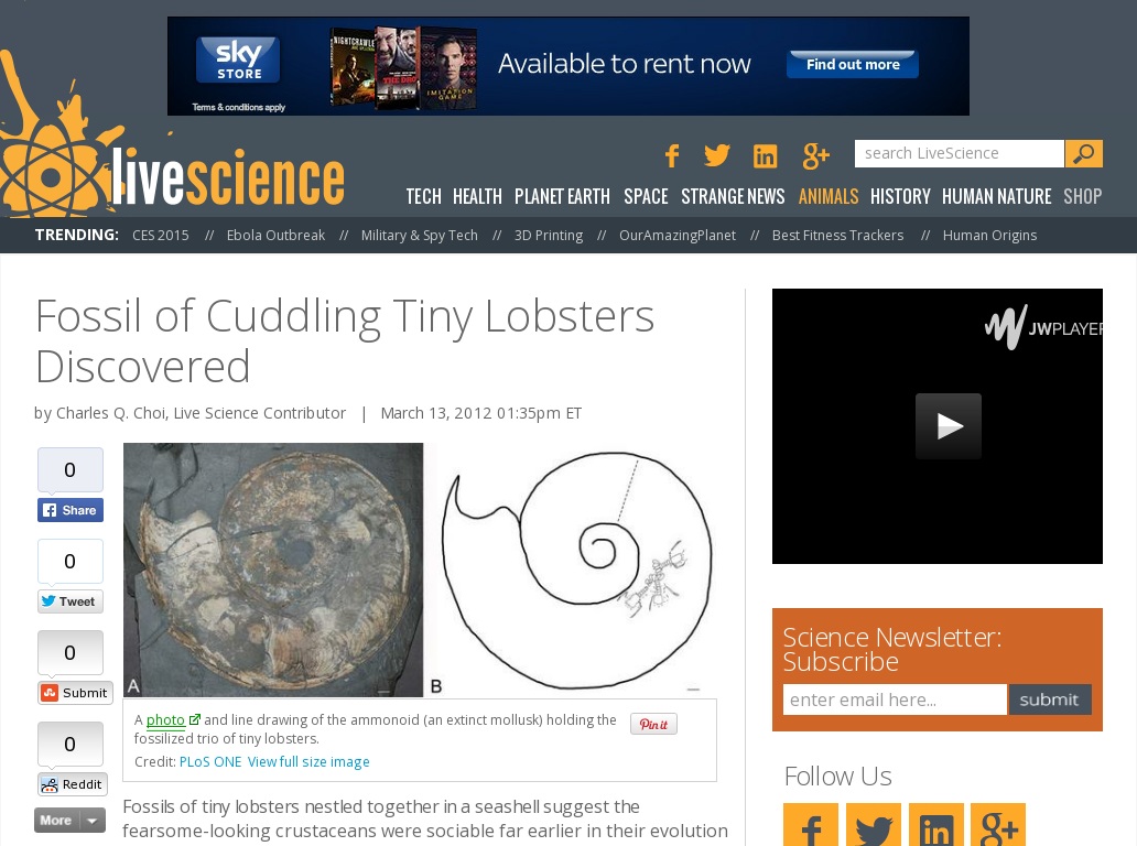 Random link to http://www.livescience.com/19014-fossils-lobsters-cuddling.html