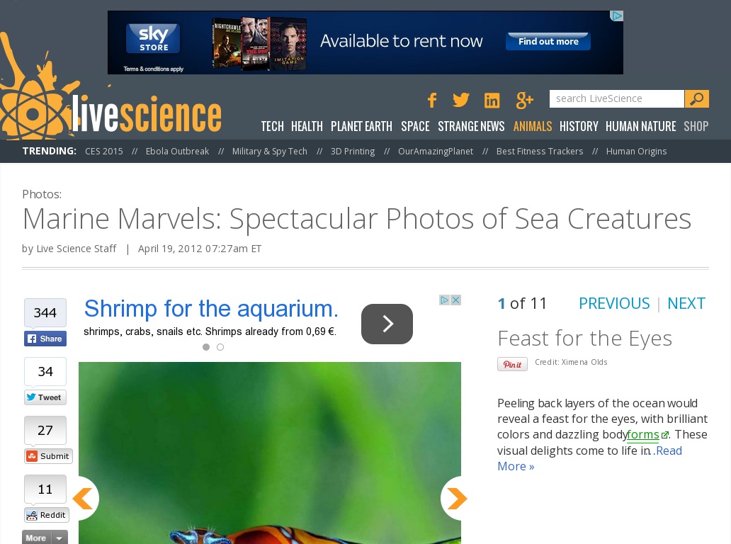 Random link to http://www.livescience.com/19778-underwater-photography-contest.html