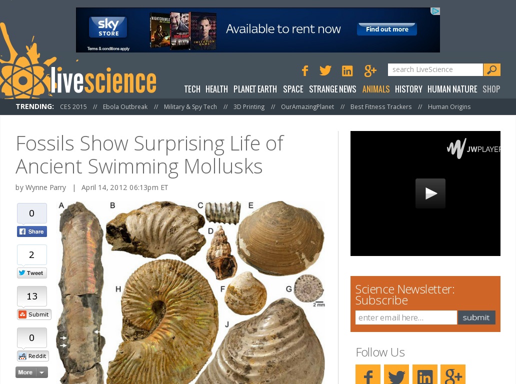 Random link to http://www.livescience.com/19690-ammonites-deposit-seafloor-seep.html