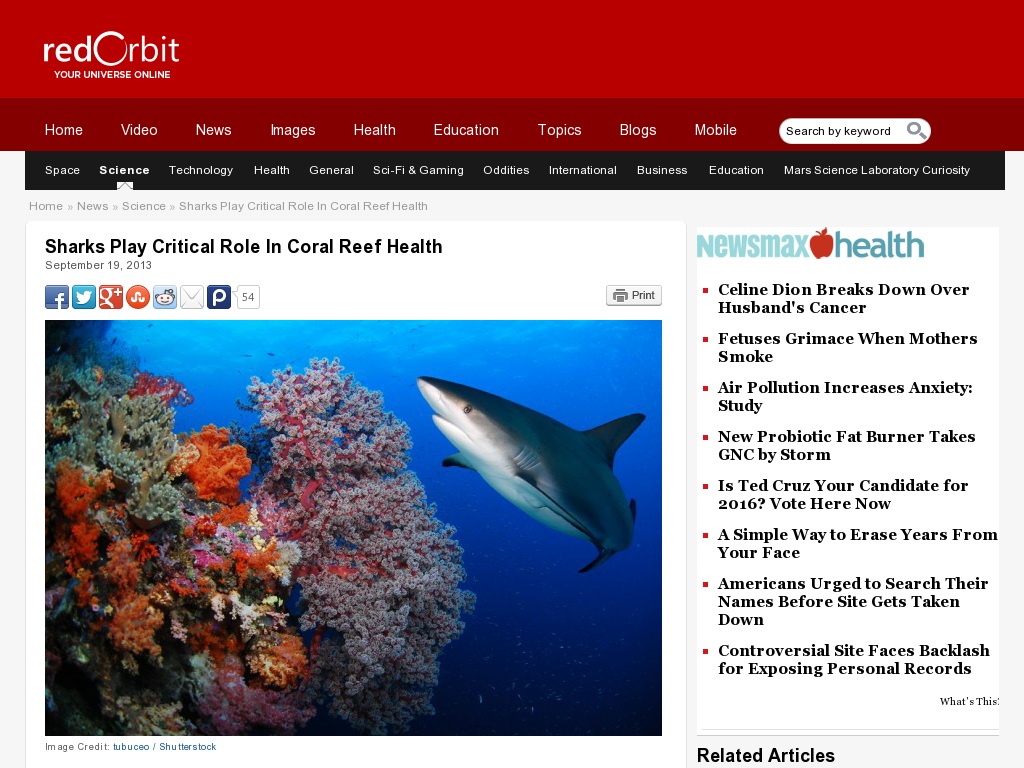 Random link to http://www.redorbit.com/news/science/1112952338/sharks-critical-to-coral-reef-health-091913/