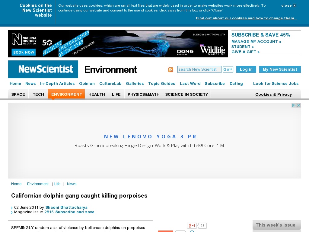 Random link to http://www.newscientist.com/article/mg21028154.700-californian-dolphin-gang-caught-killing-porpoises.html