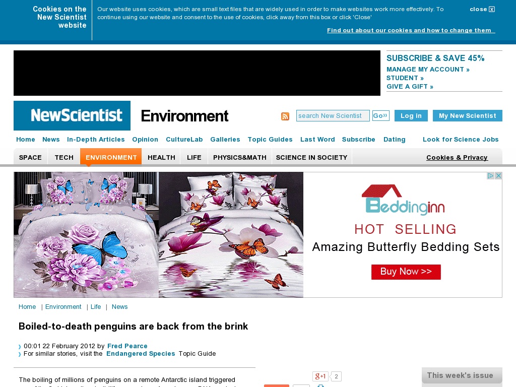 Random link to http://www.newscientist.com/article/dn21501-boiledtodeath-penguins-are-back-from-the-brink.html