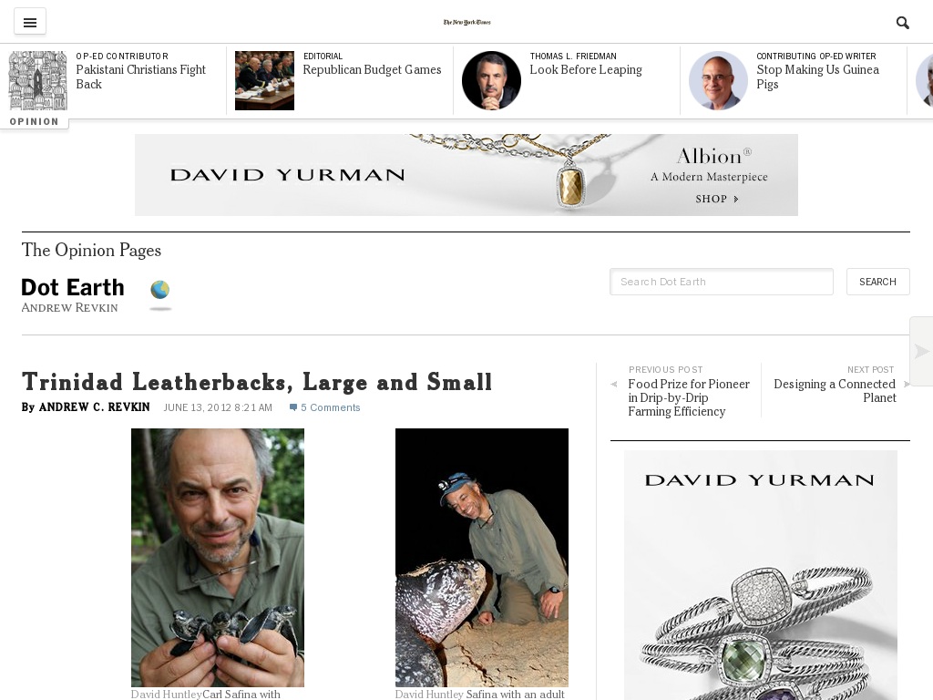 Random link to http://dotearth.blogs.nytimes.com/2012/06/13/trinidad-leatherbacks-large-and-small/