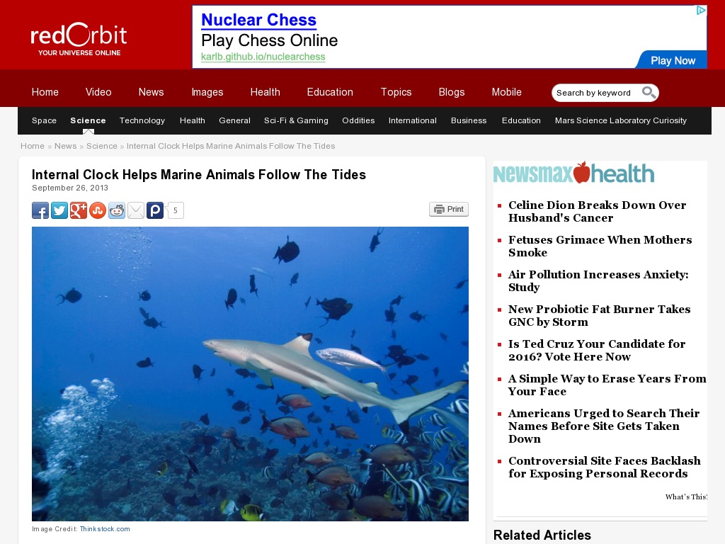 Random link to http://www.redorbit.com/news/science/1112959054/marine-animals-follow-tidal-clock-092613/