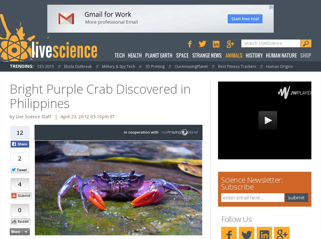 Random link to http://www.ouramazingplanet.com/2801-purple-crab-discovered.html