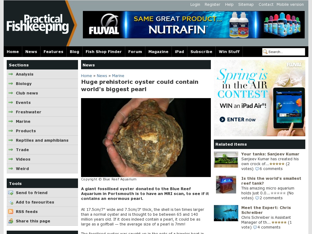 Random link to http://www.practicalfishkeeping.co.uk/content.php?sid=5093