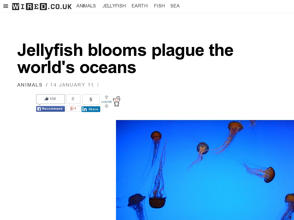 Random link to http://www.wired.co.uk/news/archive/2011-01/14/jellyfish-blooms