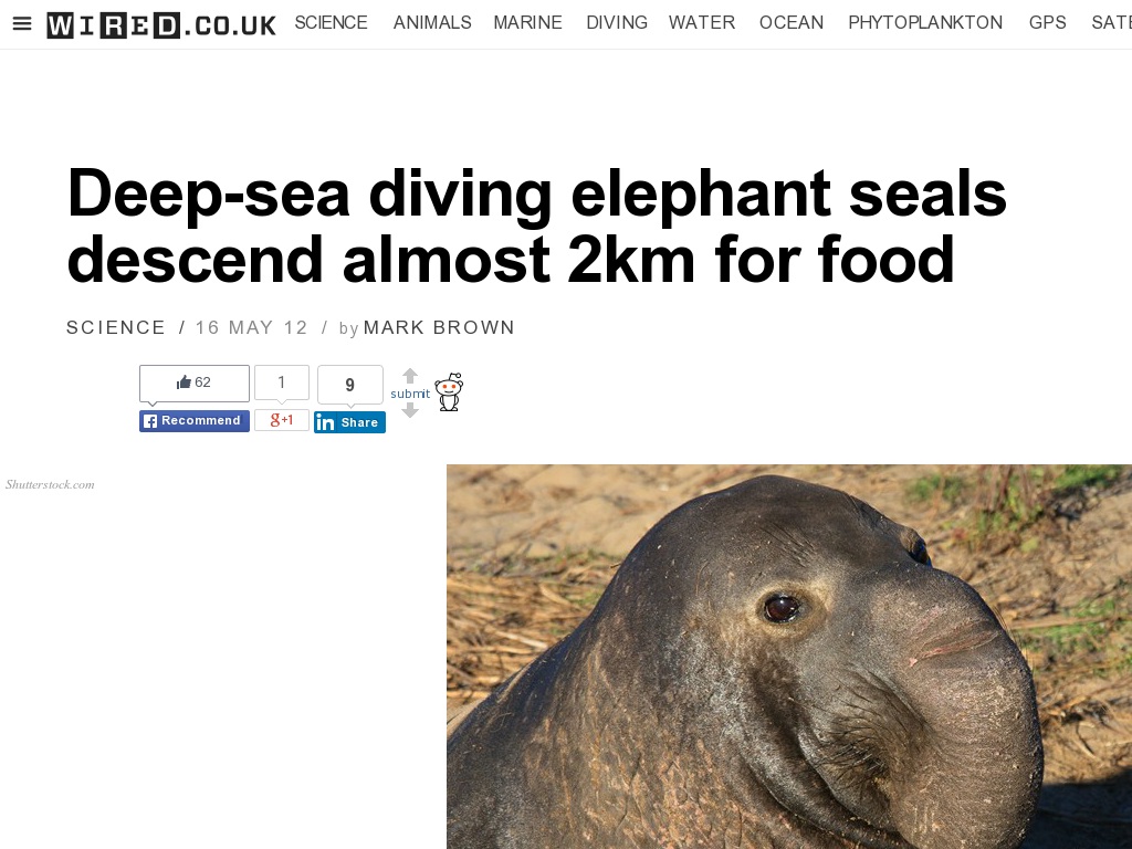 Random link to http://www.wired.co.uk/news/archive/2012-05/16/elephant-seals